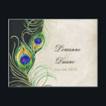 Peacock Feathers Black Damask RSVP-reactiekaart Uitnodiging Briefkaart<br><div class="desc">OPMERKING: ALS U DEZE GEBRUIKT VOOR SQUARE-INVITATIES, MOET U DIT LICHT WORDEN GEREMD OM DE ENVELOPE AAN TE PASSEN. KLEUR PALETTE: Zwart, bruin, crème, goud, blauw, groen en paars. ONTWERPCOLLECTIE: Rsvp-reactiekaart voor briefkaart. Dit maakt deel uit van een reeks van de Uitnodiging van de Weddenschap van volledige passende producten. Deze...</div>