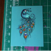 Peacock Feathers Blauwgroen Peacocks Briefkaart