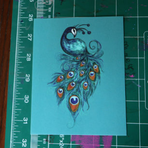 Peacock Feathers Blauwgroen Peacocks Briefkaart