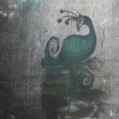 Peacock Feathers Blauwgroen Peacocks Raamsticker