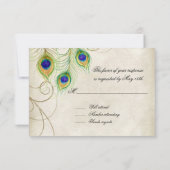 Peacock Feathers Blue Damask RSVP-reactiekaart RSVP Kaartje (Achterkant)