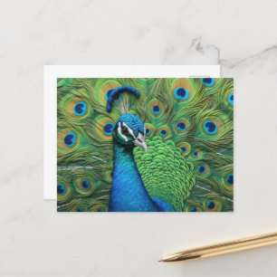 Peacock Feathers Briefkaart