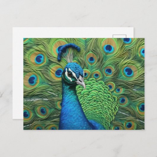 Peacock Feathers Briefkaart (Voorkant / Achterkant)