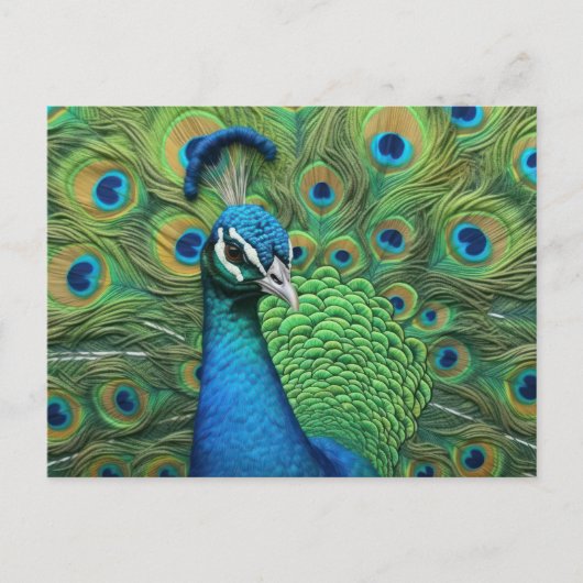 Peacock Feathers Briefkaart (Voorkant)
