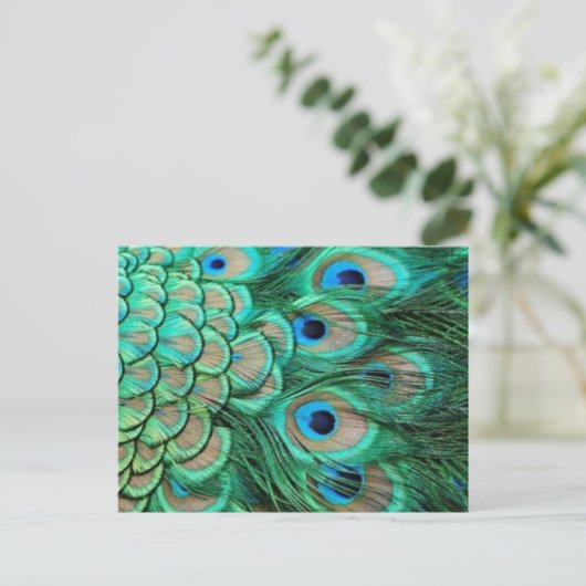 PEACOCK FEATHERS BRIEFKAART (Staand voorkant)