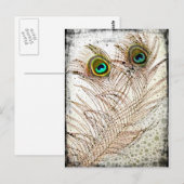 Peacock Feathers Briefkaart (Voorkant / Achterkant)