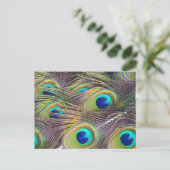 Peacock Feathers Briefkaart (Staand voorkant)