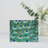 Peacock Feathers Briefkaart (Staand voorkant)
