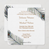 Peacock Feathers Bruiloft Kaart (Voorkant / Achterkant)