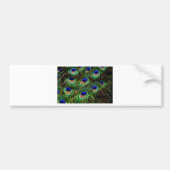 Peacock Feathers Bumpersticker (Voorkant)