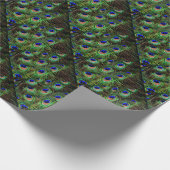 Peacock Feathers Cadeaupapier (Hoek)