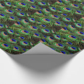 Peacock Feathers Cadeaupapier (Hoek)