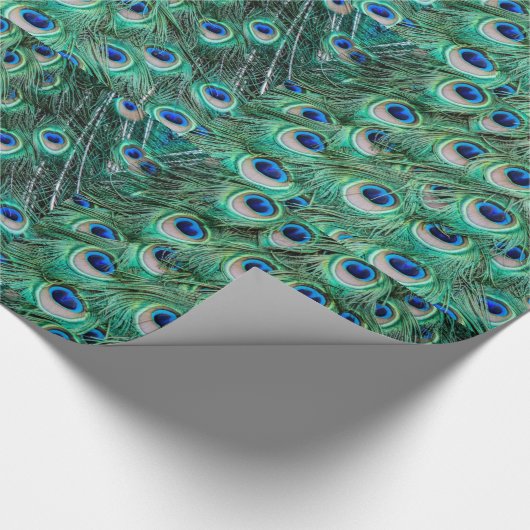 Peacock Feathers Cadeaupapier (Hoek)
