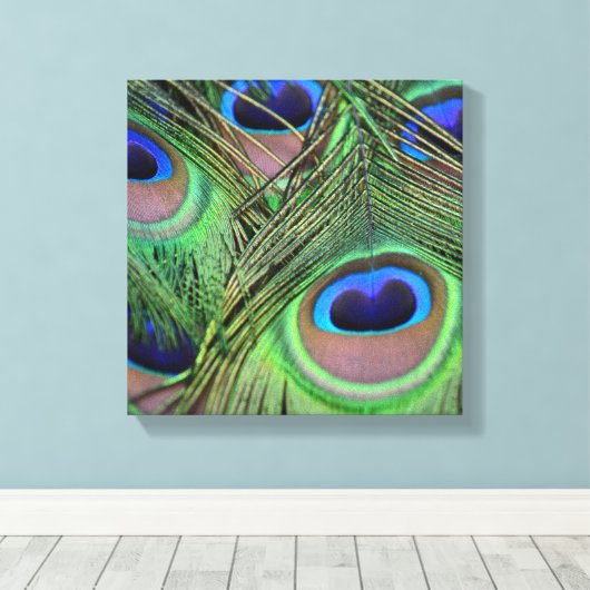 Peacock Feathers Canvas Afdruk (Insitu (Houten vloer))