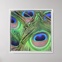 Peacock Feathers Canvas Afdruk