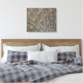 Peacock Feathers Canvas Afdruk (Insitu (Slaapkamer))