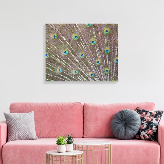 Peacock Feathers Canvas Afdruk (Insitu (Woonkamer))