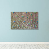Peacock Feathers Canvas Afdruk (Insitu (Houten vloer))