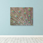 Peacock Feathers Canvas Afdruk (Insitu (Houten vloer))