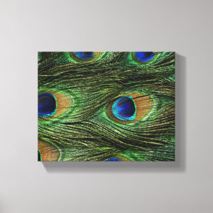 Peacock Feathers Canvas Afdruk