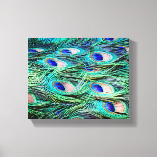 Peacock Feathers Canvas Afdruk