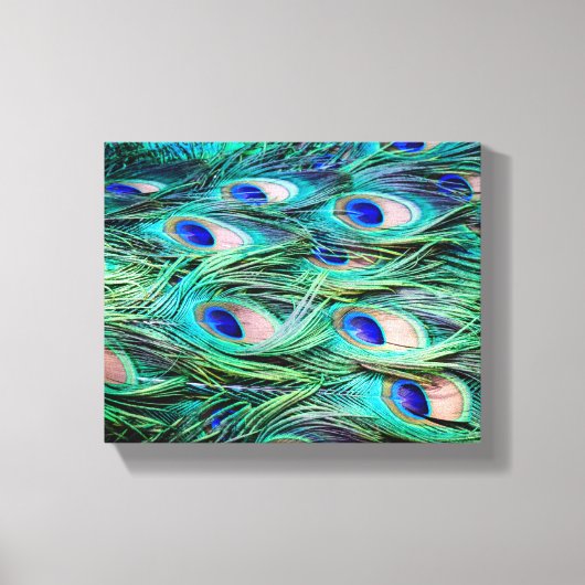 Peacock Feathers Canvas Afdruk (Voorkant)