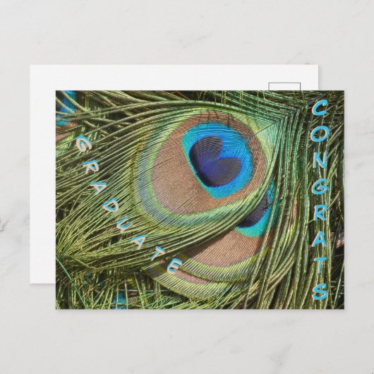 Peacock Feathers Close Up Afstuderen Briefkaart (Voorkant / Achterkant)