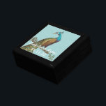 Peacock Feathers Damask Wedding Jubileum Cadeaudoosje<br><div class="desc">Wedding Black Lacquer Keepomwille Custom Designer Specialized Jewelry Box of Memory Box Elegant Unique Wedding Jubileum kerstcadeaus of Valentijnsdag cadeaus</div>