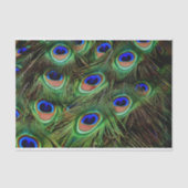 Peacock Feathers-debetpapier Tissuepapier (Voorkant)