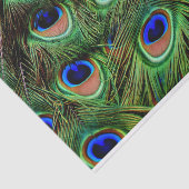 Peacock Feathers-debetpapier Tissuepapier (Detail)