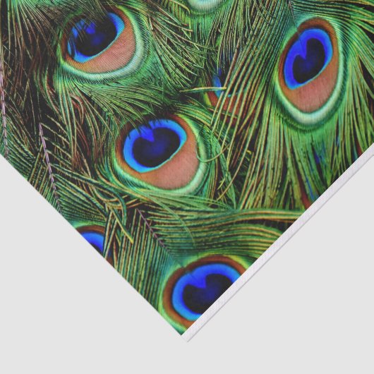 Peacock Feathers-debetpapier Tissuepapier (Detail)