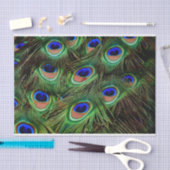 Peacock Feathers-debetpapier Tissuepapier (Craft)
