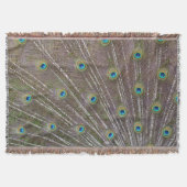 Peacock Feathers Deken (Voorkant)