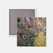 Peacock Feathers Emerald Green en Gold Magneet (Voorkant / Achterkant)