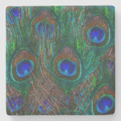 Peacock Feathers Etching Style Stenen Onderzetter (Voorkant)