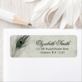  Peacock Feathers Etiket (Insitu)