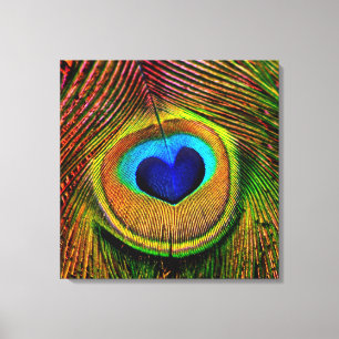 Peacock Feathers Eye of Love Canvas Afdruk