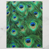 Peacock Feathers for Makeup & Hair Salon Flyer (Achterkant)