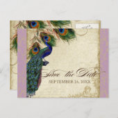 Peacock & Feathers Formal Save the Date Lavender Aankondigingskaart (Voorkant / Achterkant)