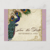 Peacock & Feathers Formal Save the Date Lavender Aankondigingskaart (Voorkant)