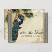 Peacock & Feathers Formal Save the Date Silver Aankondigingskaart (Voorkant / Achterkant)