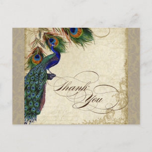Peacock & Feathers Formeel bedankje Aqua Blue Briefkaart