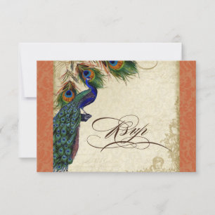 Peacock & Feathers Formele RSVP Reactie Sinaasappe Kaartje