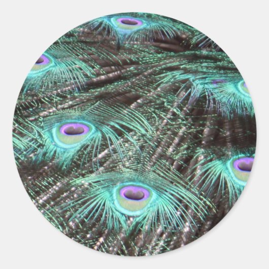  Peacock Feathers foto Ronde Sticker (Voorkant)