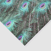  Peacock Feathers foto Tissuepapier (Detail)