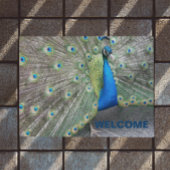 Peacock Feathers Foto Welkom Deurmat