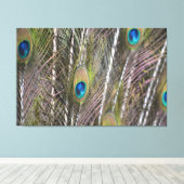 Peacock Feathers (fotografie door mij genomen) Canvas Afdruk (Insitu (Houten vloer))