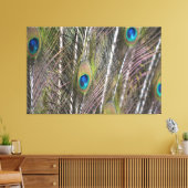 Peacock Feathers (fotografie door mij genomen) Canvas Afdruk (Insitu (Woonkamer))
