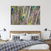 Peacock Feathers (fotografie door mij genomen) Canvas Afdruk (Insitu (Slaapkamer))