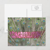 Peacock Feathers Gefeliciteerd Briefkaart Roze (Voorkant / Achterkant)
